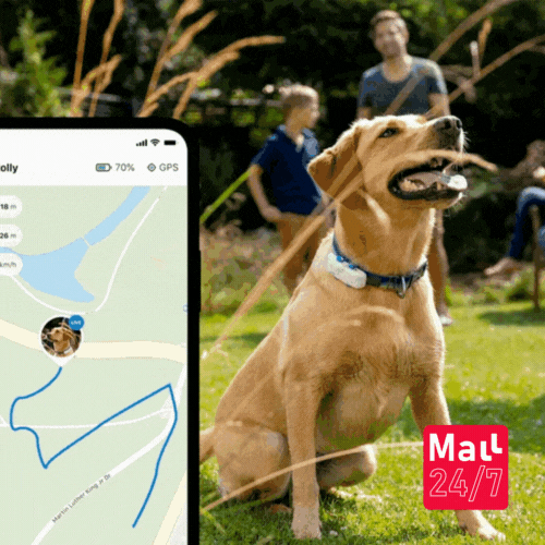 GPS PARA TUS MASCOTAS 300% AVANZADO + ENVIÓ GRATIS
