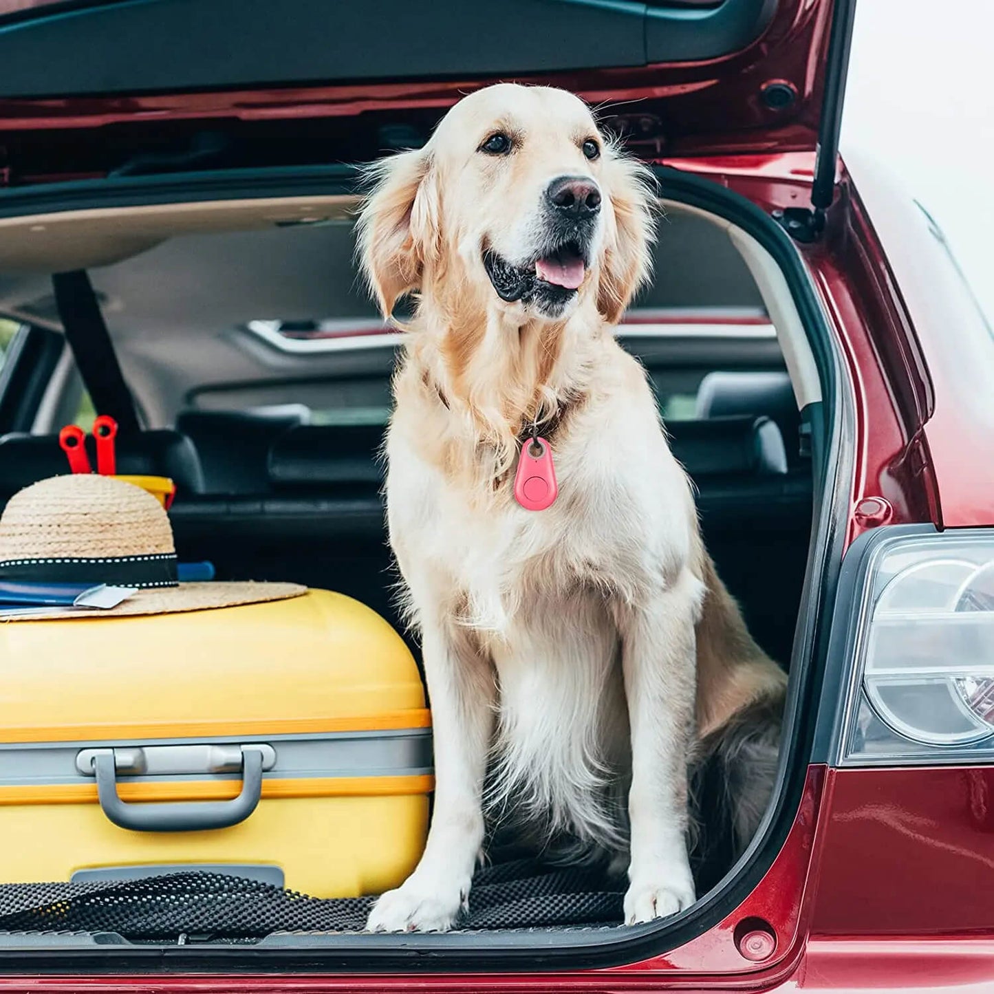 GPS PARA TUS MASCOTAS 300% AVANZADO + ENVIÓ GRATIS