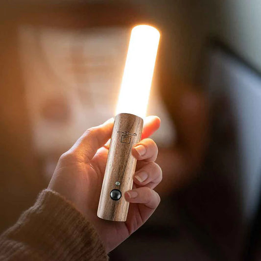 Pague 1 Lleve 2 Lámparas LED magnética de pared + OBSEQUIO