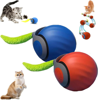Pelota Interactiva para Gatos | SPEEDY TAIL Recargable y Divertida
