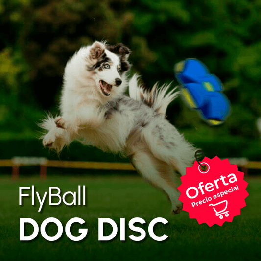 FlyBall™ dog disc + ENVIO GRATIS