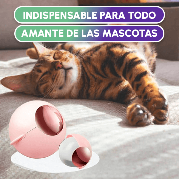 Removedor de pelo portátil + Envío GRATIS