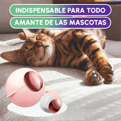 Removedor de pelo portátil + Envío GRATIS