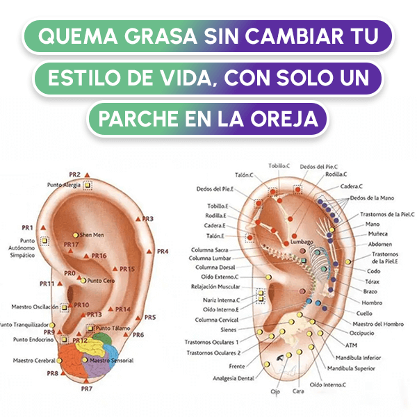 120 Esferas Para Adelgazar + Envío GRATIS