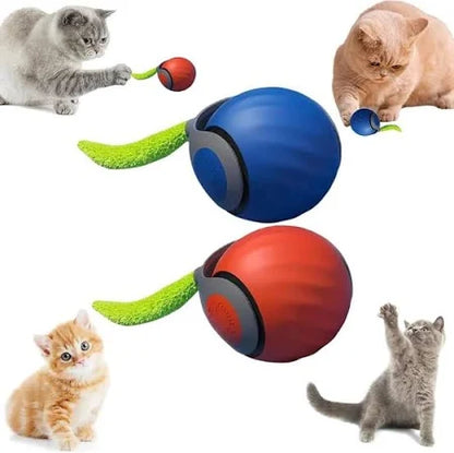 Pelota Interactiva para Gatos | SPEEDY TAIL Recargable y Divertida
