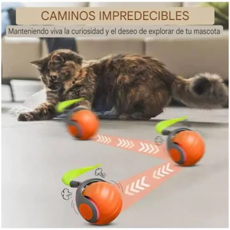 Pelota Interactiva para Gatos | SPEEDY TAIL Recargable y Divertida