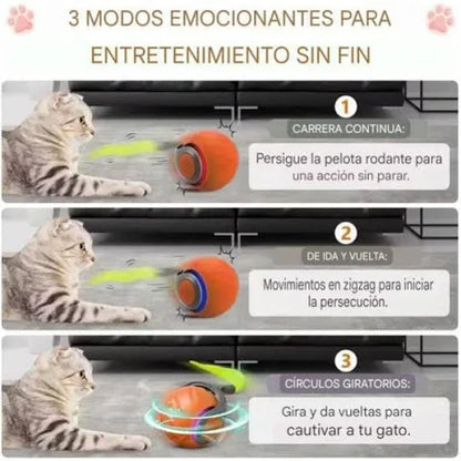 Pelota Interactiva para Gatos | SPEEDY TAIL Recargable y Divertida